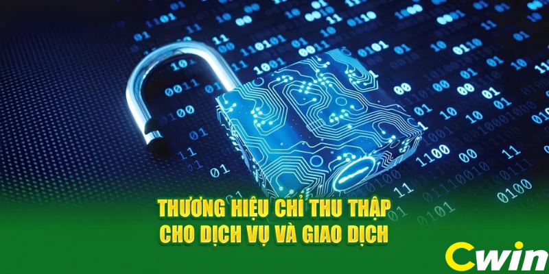 Người chơi cần trung thực khi cá cược tại thương hiệu